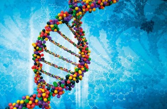 Scientists get go-ahead for ‘gene editing’ embryos in landmark decision
