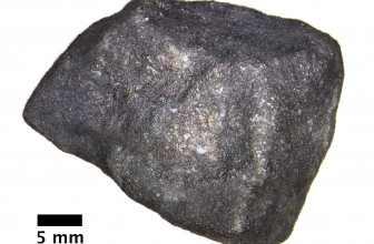 ‘Pristine’ meteorite may provide clues to the origins of our solar system