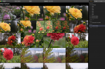 First look: Skylum Luminar 3 adds support for photo libraries, Digital Asset Manager to follow