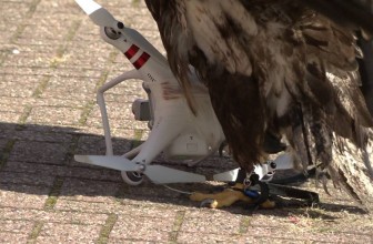 The Dutch police have shut down their drone-catching eagle program