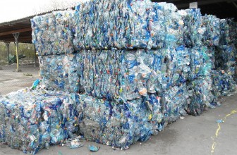 Plastic-eating bacterium could be the future of recycling